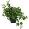 16" Green Pothos Artificial Plant with Black Plastic Pot